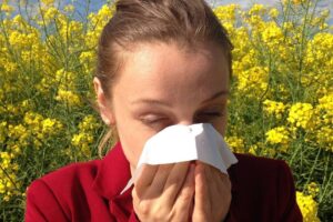 Remedios Caseros Para Dejar De Estornudar